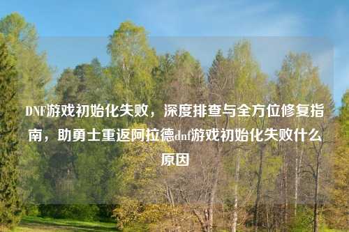 DNF游戏初始化失败，深度排查与全方位修复指南，助勇士重返阿拉德dnf游戏初始化失败什么原因