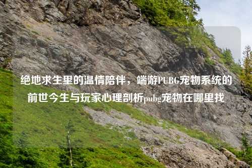 绝地求生里的温情陪伴，端游PUBG宠物系统的前世今生与玩家心理剖析pubg宠物在哪里找