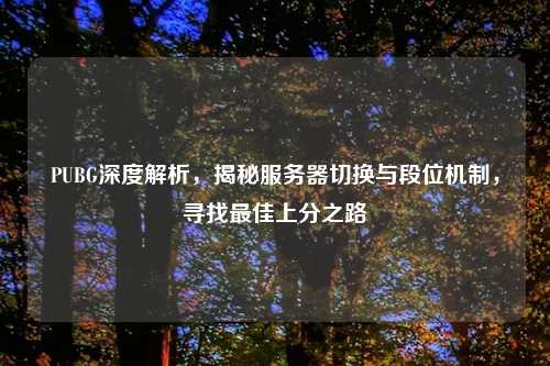PUBG深度解析，揭秘服务器切换与段位机制，寻找更佳上分之路