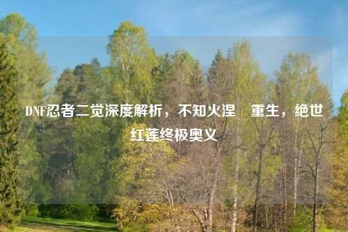 DNF忍者二觉深度解析，不知火涅槃重生，绝世红莲终极奥义