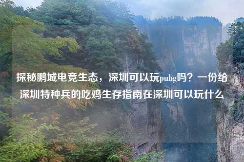 探秘鹏城电竞生态，深圳可以玩pubg吗？一份给深圳特种兵的吃鸡生存指南在深圳可以玩什么
