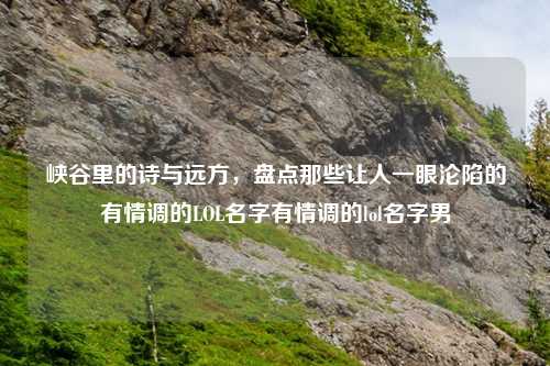 峡谷里的诗与远方，盘点那些让人一眼沦陷的有情调的LOL名字有情调的lol名字男