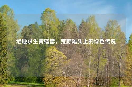 绝地求生青蛙套，荒野滩头上的绿色传说