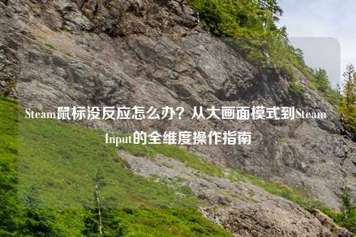 Steam鼠标没反应怎么办？从大画面模式到Steam Input的全维度操作指南