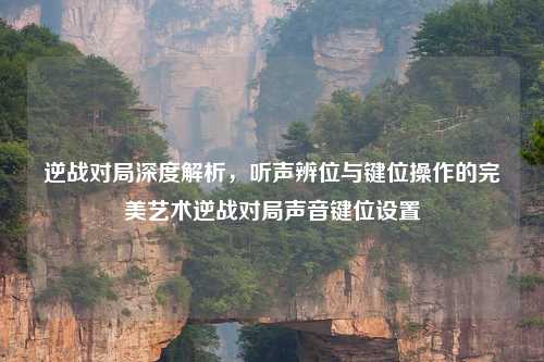 逆战对局深度解析，听声辨位与键位操作的完美艺术逆战对局声音键位设置