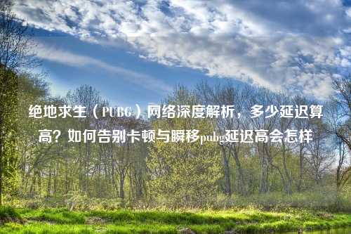 绝地求生（PUBG）     深度解析，多少延迟算高？如何告别卡顿与瞬移pubg延迟高会怎样