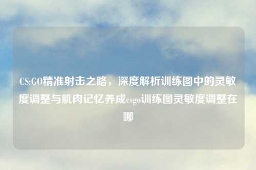 CS:GO精准射击之路，深度解析训练图中的灵敏度调整与肌肉记忆养成csgo训练图灵敏度调整在哪