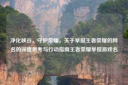 净化峡谷，守护荣耀，关于举报王者荣耀的网名的深度思考与行动指南王者荣耀举报游戏名