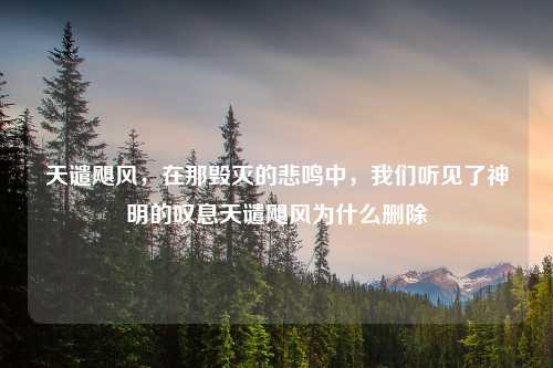 天谴飓风，在那毁灭的悲鸣中，我们听见了神明的叹息天谴飓风为什么删除