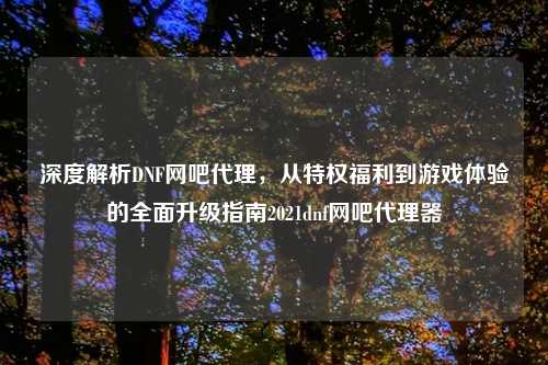 深度解析DNF网吧     ，从特权福利到游戏体验的全面升级指南2021dnf网吧     器