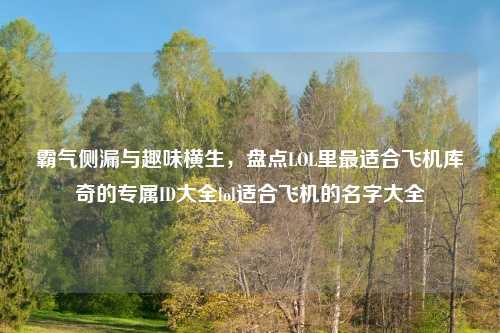 霸气侧漏与趣味横生，盘点LOL里最适合飞机库奇的专属ID大全lol适合飞机的名字大全