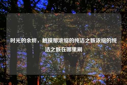 时光的余烬，触摸那浓缩的纯洁之骸浓缩的纯洁之骸在哪里刷