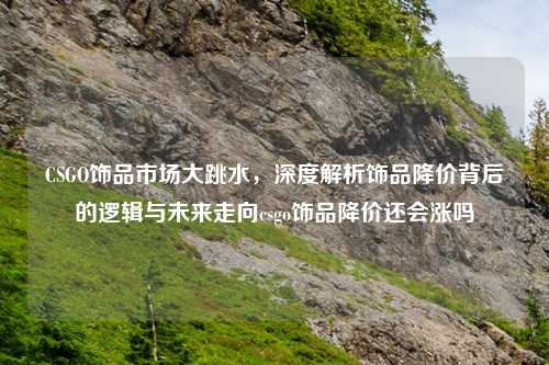 CSGO饰品市场大跳水，深度解析饰品降价背后的逻辑与未来走向csgo饰品降价还会涨吗