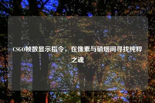 CSGO帧数显示指令，在像素与硝烟间寻找纯粹之魂