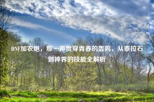 DNF加农炮，那一声贯穿青春的轰鸣，从泰拉石到神界的技能全解析
