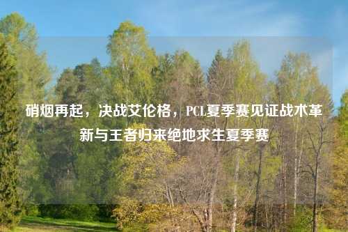 硝烟再起，决战艾伦格，PCL夏季赛见证战术革新与王者归来绝地求生夏季赛