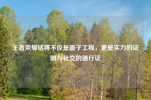 王者荣耀铭牌不仅是面子工程，更是实力的证明与社交的通行证