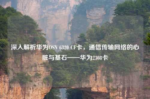 深入解析华为OSN 6320 CF卡，通信传输     的心脏与基石——华为2308卡