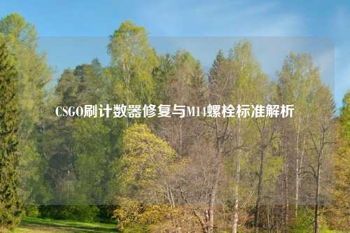 CSGO刷计数器修复与M14螺栓标准解析