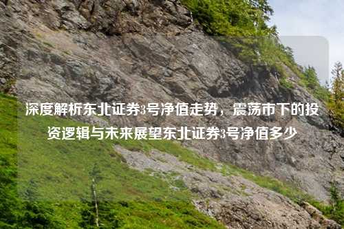 深度解析东北证券3号净值走势，震荡市下的投资逻辑与未来展望东北证券3号净值多少