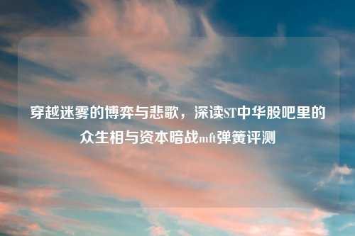穿越迷雾的博弈与悲歌，深读ST中华股吧里的众生相与资本暗战mft弹簧评测