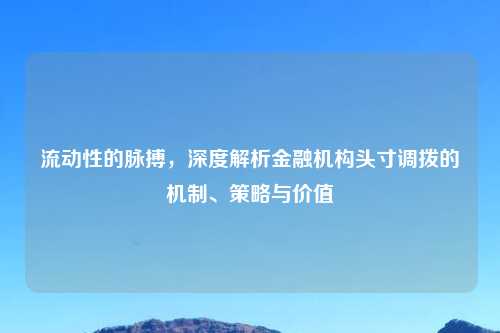 流动性的脉搏，深度解析金融机构头寸调拨的机制、策略与价值