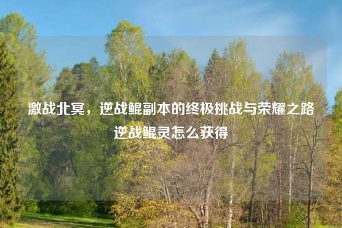 激战北冥，逆战鲲副本的终极挑战与荣耀之路逆战鲲灵怎么获得