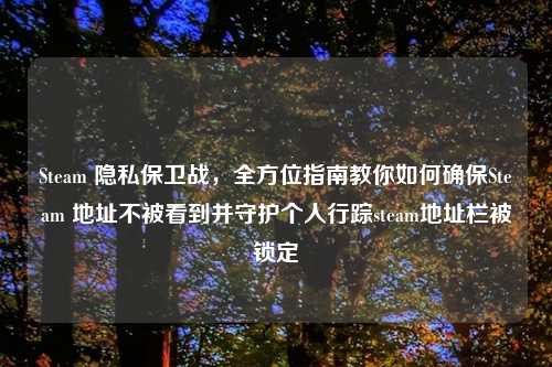 Steam 隐私保卫战，全方位指南教你如何确保Steam 地址不被看到并守护个人行踪steam地址栏被锁定