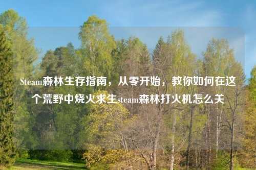 Steam森林生存指南，从零开始，教你如何在这个荒野中烧火求生steam森林打火机怎么关