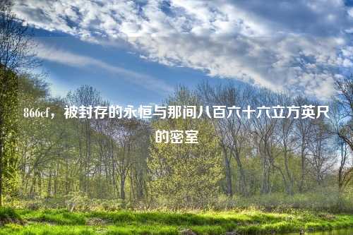 866cf，被封存的永恒与那间八百六十六立方英尺的密室