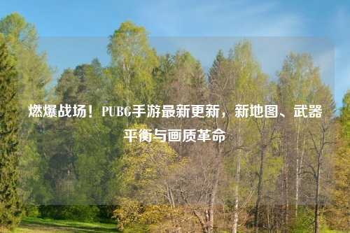 燃爆战场！PUBG手游最新更新，新地图、武器平衡与画质革命