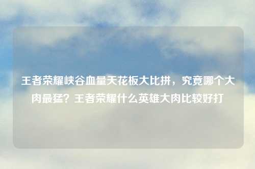 王者荣耀峡谷血量天花板大比拼，究竟哪个大肉最猛？王者荣耀什么英雄大肉比较好打