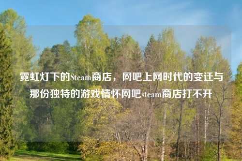 霓虹灯下的Steam商店，网吧上网时代的变迁与那份独特的游戏情怀网吧steam商店打不开