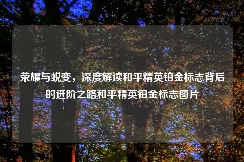 荣耀与蜕变，深度解读和平精英铂金标志背后的进阶之路和平精英铂金标志图片