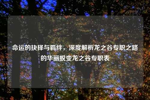 命运的抉择与羁绊，深度解析龙之谷专职之路的华丽蜕变龙之谷专职表