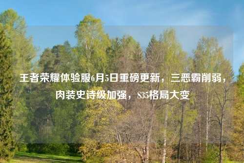 王者荣耀体验服6月5日重磅更新，三恶霸削弱，肉装史诗级加强，S35格局大变