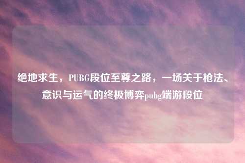 绝地求生，PUBG段位至尊之路，一场关于枪法、意识与运气的终极博弈pubg端游段位