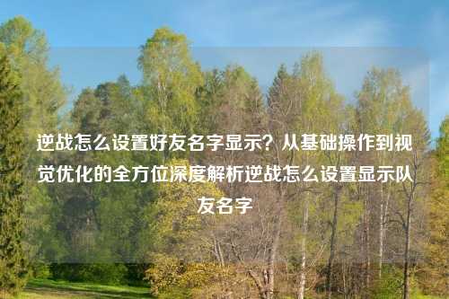 逆战怎么设置好友名字显示？从基础操作到视觉优化的全方位深度解析逆战怎么设置显示队友名字