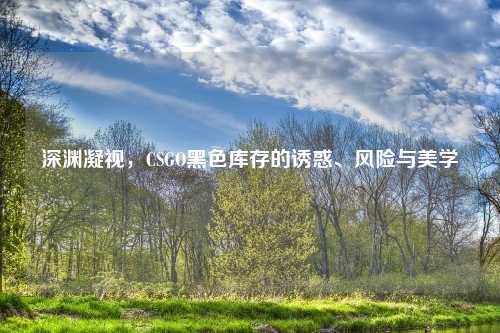 深渊凝视，CSGO黑色库存的诱惑、风险与美学