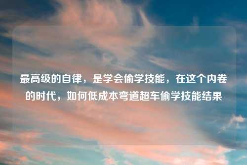 更高级的自律，是学会偷学技能，在这个内卷的时代，如何低成本弯道超车偷学技能结果