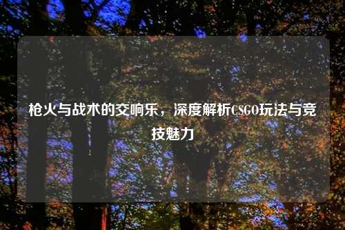 枪火与战术的交响乐，深度解析CSGO玩法与竞技魅力