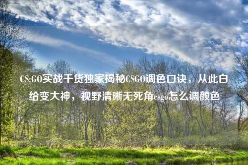 CS:GO实战干货独家揭秘CSGO调色口诀，从此白给变大神，视野清晰无死角csgo怎么调颜色