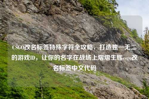 CSGO改名标签特殊字符全攻略，打造独一无二的游戏ID，让你的名字在战场上熠熠生辉csgo改名标签中文代码