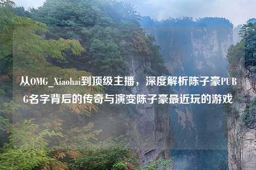 从OMG_Xiaohai到顶级主播，深度解析陈子豪PUBG名字背后的传奇与演变陈子豪最近玩的游戏
