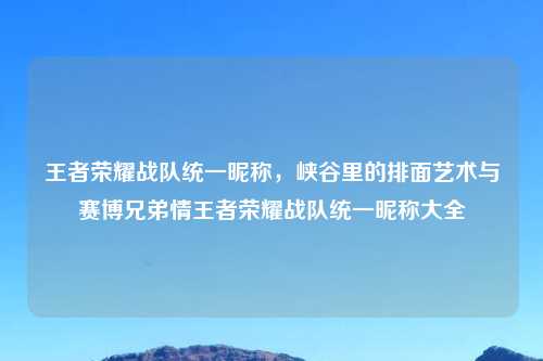 王者荣耀战队统一昵称,峡谷里的排面艺术与赛博兄弟情王者荣耀战队统一昵称大全