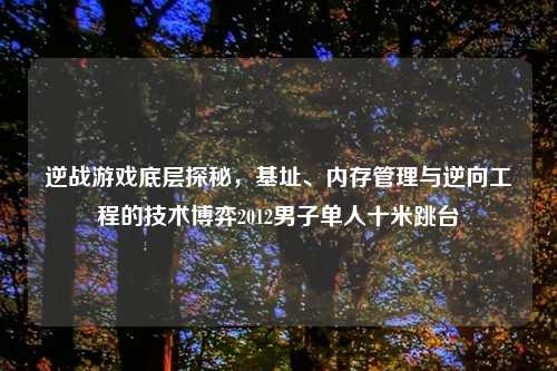 逆战游戏底层探秘,基址、内存管理与逆向工程的技术博弈2012男子单人十米跳台