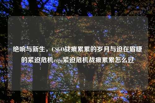 绝响与新生，CSGO战痕累累的岁月与迫在眉睫的紧迫危机csgo紧迫危机战痕累累怎么过