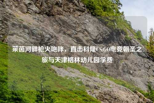莱茵河畔枪火咆哮，直击科隆CS:GO电竞朝圣之旅与天津格林幼儿园学费