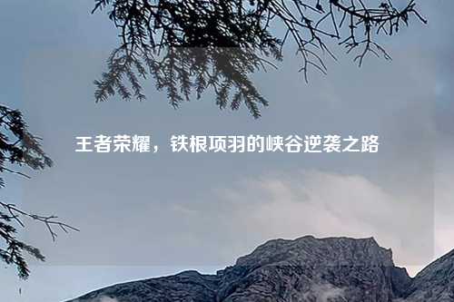 王者荣耀，铁根项羽的峡谷逆袭之路