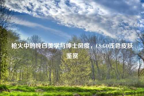 枪火中的纯白美学与绅士风度，CS:GO浅色皮肤鉴赏